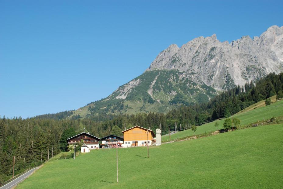 Villa Ferienbauernhof Elmaugut Mühlbach am Hochkönig Esterno foto